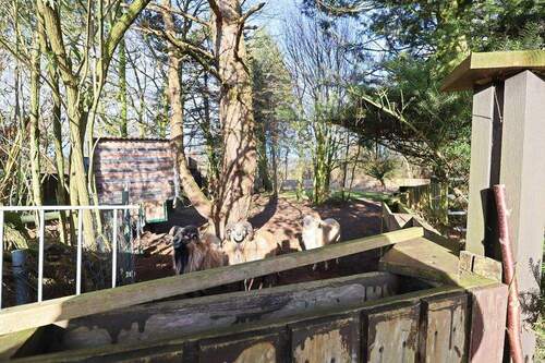 Mitbewohner auf dem Grundstück - 