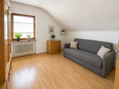 Zimmer DG - 