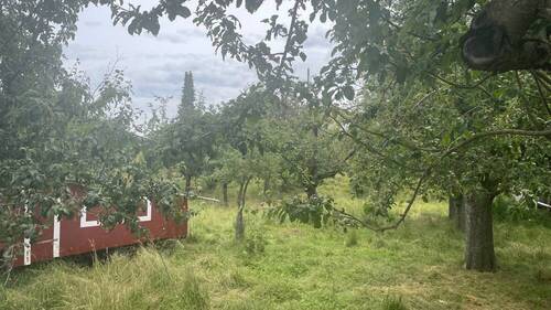 Ansicht1 - Grundstück zum Kaufen in Hartheim am Rhein
