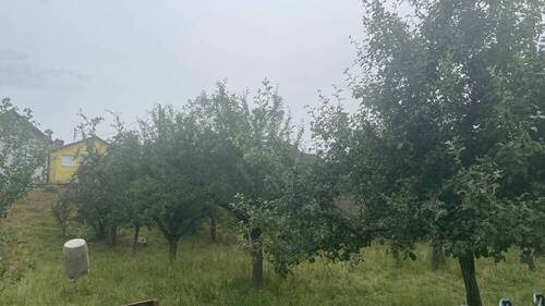 Ansicht 3 - Grundstück in Hartheim am Rhein