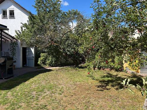 H 548 Garten.jpeg - 