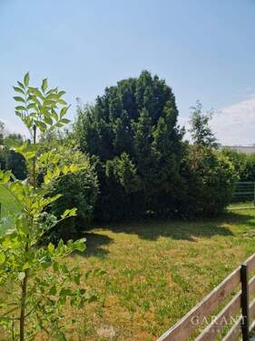 Garten - 5 Zimmer Einfamilienhaus zum Kaufen in Ruhstorf/Rott