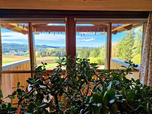 große Fensterfront Wohnzimmer - 