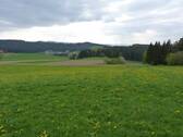 freier Blick auf die Landschaft - 