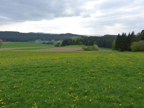 freier Blick auf die Landschaft - 