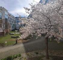 KP-Faktor 27,2; Energiea. A+, 2-Zi Bestlage Arnulfpark prov.frei - München Maxvorstadt