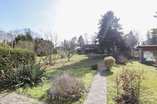 Blick in den Garten - 