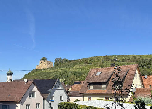 Blick auf die Burg - 