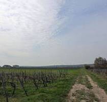 * Ruhig * Große Sonnen-Terrasse * Viel Platz! * - Gimbsheim