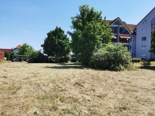 Blick Richtung Einfahrt - Doppelhaushälfte mit 115,00 m² in Halberstadt zum Kaufen