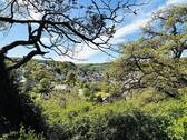 Viel Licht, Luft und Sonne & grandioser Weitblick - 