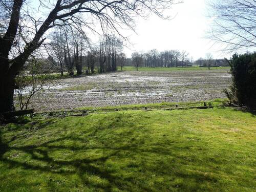 Blick in die Natur - 