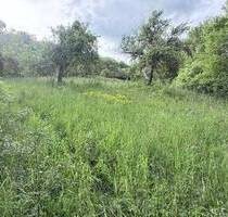 ## Grundstück mit Bauerwartung, am ruhiger Ortsrand ##– perspektivisch bebaubar in ca. 8–10 Jahren, attraktiver Preis - Schonungen Marktsteinach