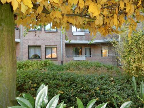 Rückseite Hochparterre - 