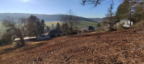 Bild 4 - Grundstück in Neuhemsbach zum Kaufen