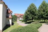 Bild11.jpg - 