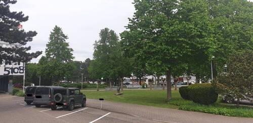 Sonstiges - 