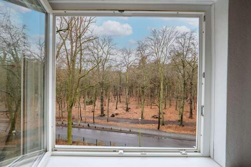 Ausblick - 2 Zimmer Etagenwohnung in Berlin