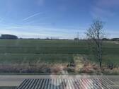Ausblick - 