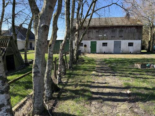 Blick zum Stall - 
