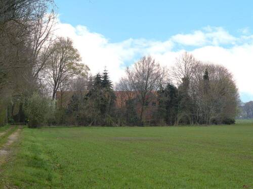 Blick von der Straße zum Hof - Mehrfamilienhaus, Wohnhaus mit 123,00 m&sup2; in Ringe zum Kaufen