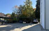 IMG_9271.jpeg - 