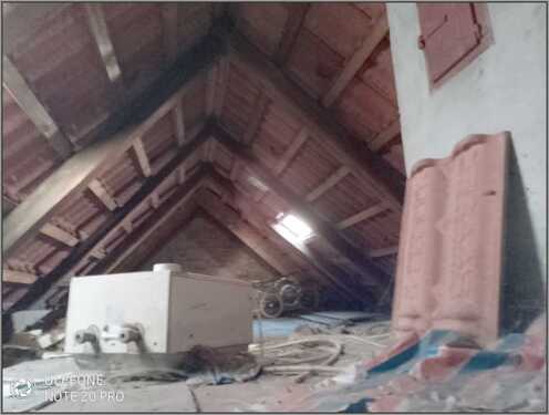 IMG_20250208_160308.jpg - 