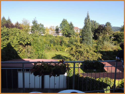 Blick vom Balkon in den Garten - 