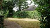 Garten (2) - 