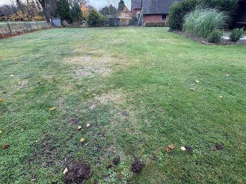 begrünter Gartenbereich - 