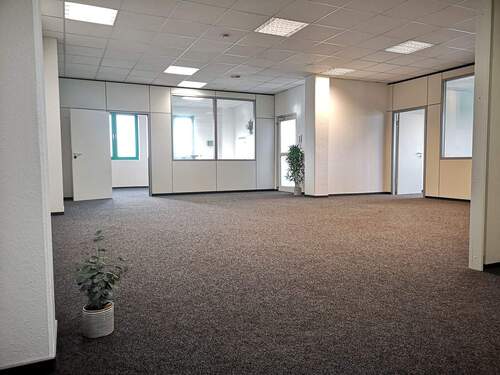 Empfang_Showroom - 4 Zimmer Büro in Norderstedt