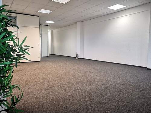 Empfang_Showroom - 