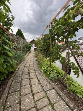 Weg zur Orangerie - 