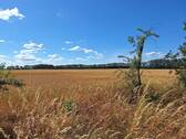 Blick auf Feld - 