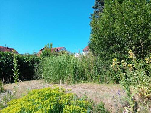 Garten mit Teich - 