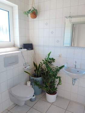 WC EG - 