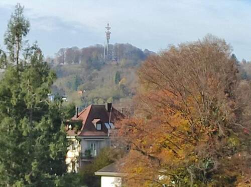 Blick vom West-Balkon - 3 Zimmer Etagenwohnung in Lahr