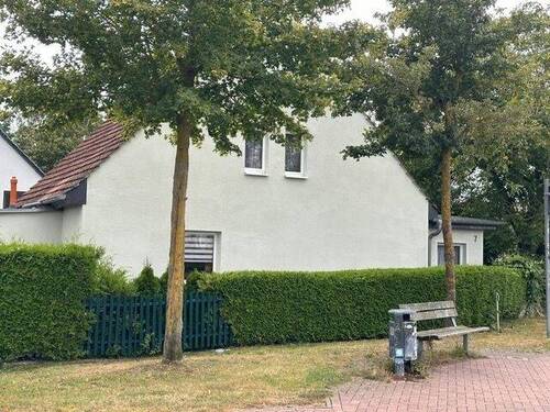 PHOTO-2024-10-22-11-34-56 (2) - 