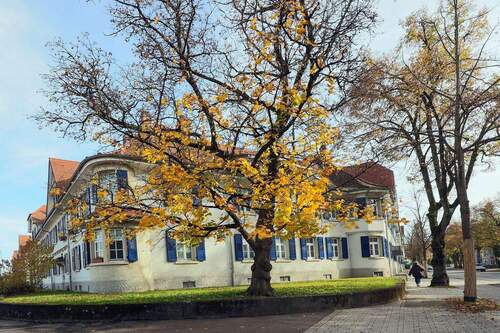 Bild 3 - 3 Zimmer Etagenwohnung in Singen (Hohentwiel)