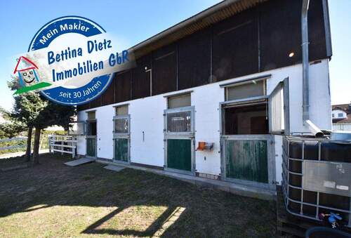 Stallgebäude11 - DIETZ: Platz Für Ross und Reiter! Wohnhaus + Gewerbegebäude mit 6 Pferdestallungen! In Feldrandnähe!