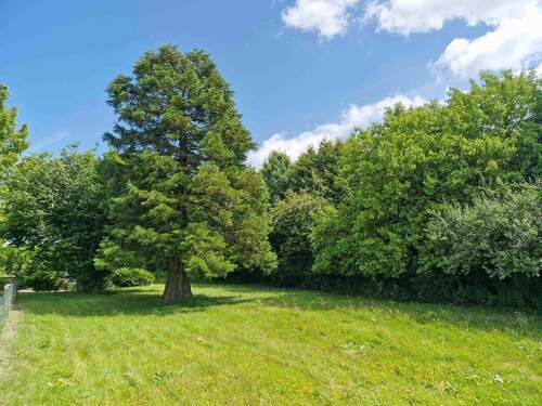 Baugrundstück - Grundstück in Beldorf