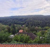 GRUNDSTÜCK mit Traumblick für ein Einfamilien-oder Doppelhaus -91757 TREUCHTLINGEN