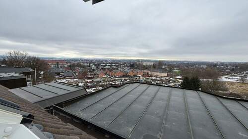 IMG_5569 - 