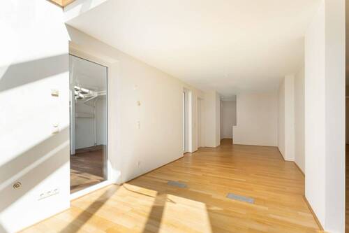 Zimmer - 