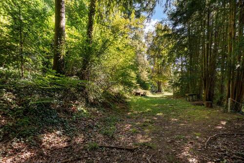 Anteil am Wald - 