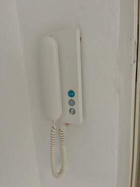 IMG_4592(1).jpeg - 
