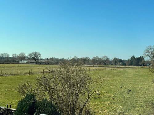 Blick auf die Pferdeweide - 