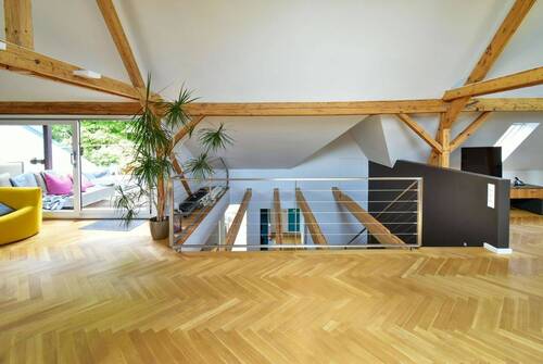 Dachstudio - 