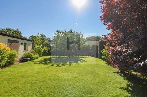 Garten und Garage - 