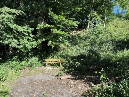 Bild2 - Grundstück zum Kaufen in Extertal-Bösingfeld